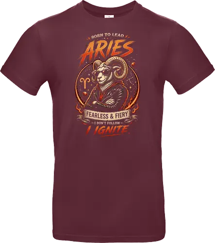 Aries Fearless and Fiery