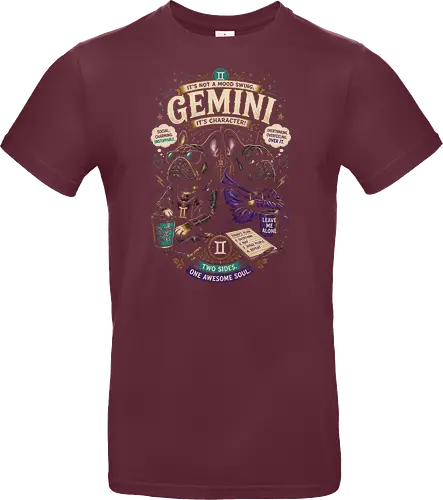 Gemini Bulldogs Illustration