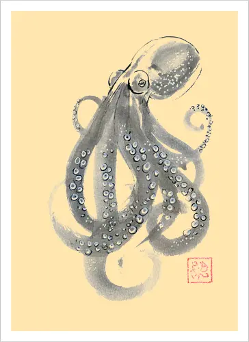 grey octopuss