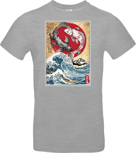 Koi balance in Japan
