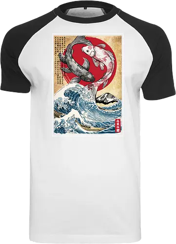 Koi balance in Japan