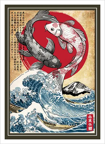 Koi balance in Japan