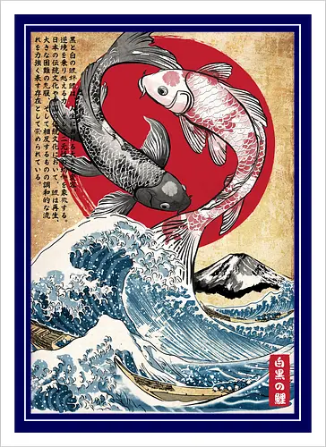 Koi balance in Japan