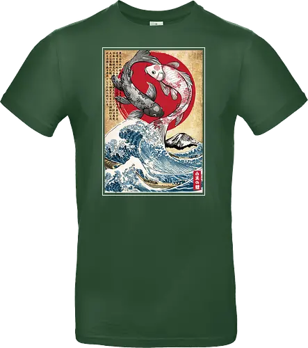 Koi balance in Japan