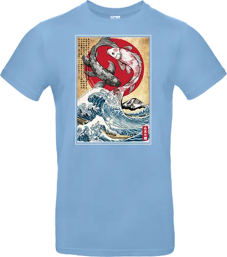 Koi balance in Japan