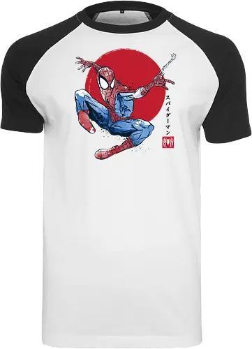 The spider sumi e