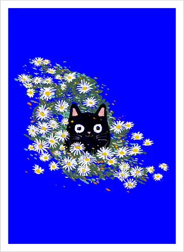 Summer catmouflage