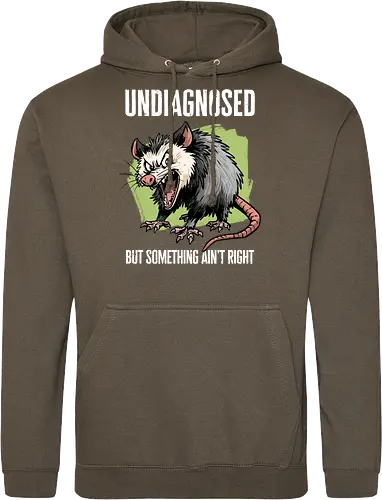 Undiagnosed Opossum