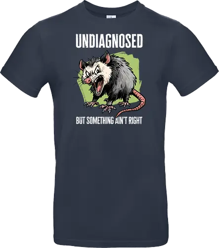 Undiagnosed Opossum