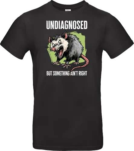 Undiagnosed Opossum