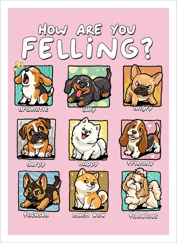 How Are You Feeling
