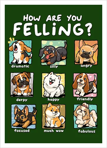 How Are You Feeling