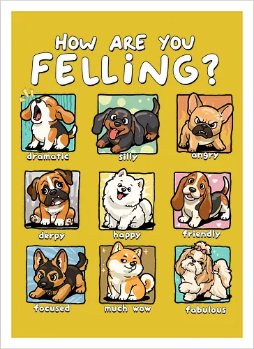 How Are You Feeling