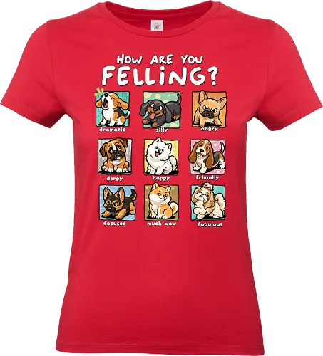 How Are You Feeling - dogs, angry, derpy, dog, dog lover, dramatic, emotion, fabulous, feelings, focused, friendly, happy, how are you feeling, mood, silly - Standard T-Shirt (Women)