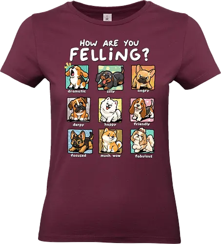 How Are You Feeling - dogs, angry, derpy, dog, dog lover, dramatic, emotion, fabulous, feelings, focused, friendly, happy, how are you feeling, mood, silly - Standard T-Shirt (Women)