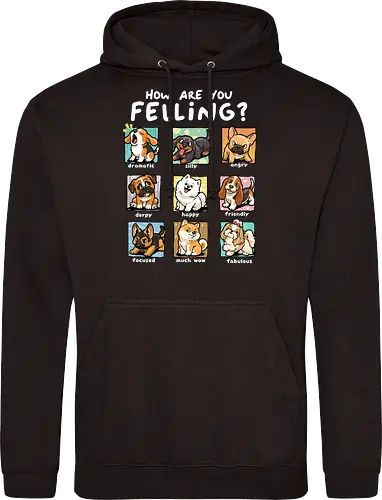 How Are You Feeling