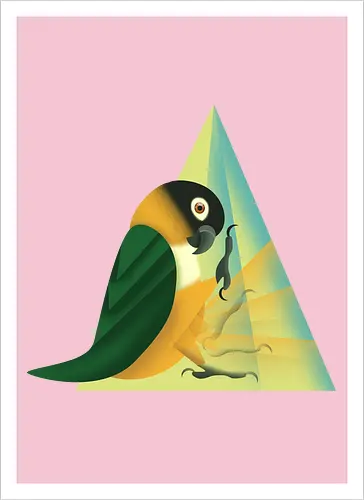 Stampfender Caique