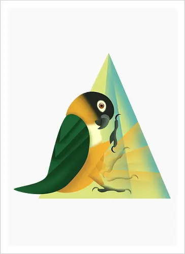 Stampfender Caique
