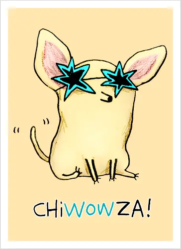 ChiWOWza - Cooler Chihuahua
