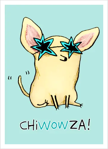 ChiWOWza - Cooler Chihuahua