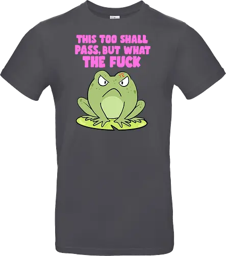 This too shall pass