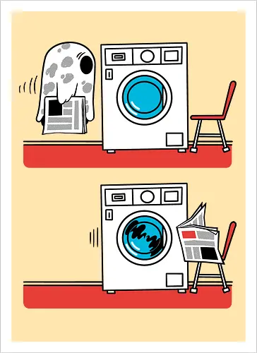 Laundry day