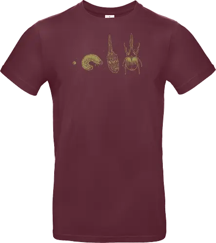 Beetle Life Cycle - hercules beetle, beetle, life cycle, dynastid beetle, dynastes hercules, rhinoceros beetle, scientific illustration, metamorphosis, entomology, exotic insect, illustration, insects, animal, nature, xmorfina - Standard T-Shirt