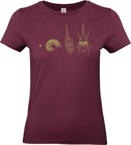 Beetle Life Cycle - hercules beetle, beetle, life cycle, dynastid beetle, dynastes hercules, rhinoceros beetle, scientific illustration, metamorphosis, entomology, exotic insect, illustration, insects, animal, nature, xmorfina - Standard T-Shirt (Women)