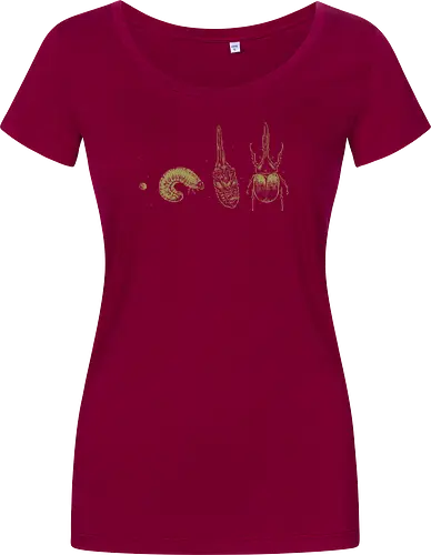 Beetle Life Cycle - hercules beetle, beetle, life cycle, dynastid beetle, dynastes hercules, rhinoceros beetle, scientific illustration, metamorphosis, entomology, exotic insect, illustration, insects, animal, nature, xmorfina - Women T-Shirt