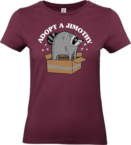 Adopt a Jimothy - Jimothy, raccoon, racoon, cute, seattle, Adopt a Jimothy, jimothy the raccoon - Standard T-Shirt (Women)