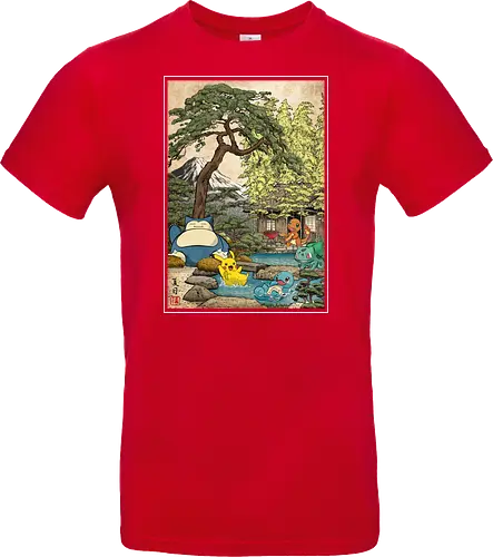 School of witchcraft and wizard woodblock - Standard T-Shirt