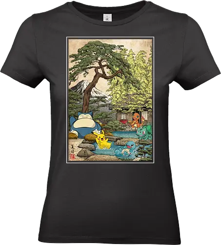 School of witchcraft and wizard woodblock - Standard T-Shirt (Women)