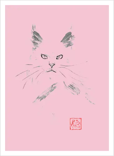 white main coon - cat, sumie, japan - Artprint