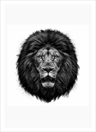 Lion Charcoal Art - Artprint