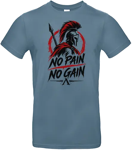 Spartan Discipline – No Pain No Gain - martial arts, fighter, ancient warrior, greek warrior, helmet, spartan, spartaner, no pain no gain, warrior, warrior spirit, discipline, strength, motivation, gym, fitness, bodybuilding, workout, training, spear, battle, courage, power, mindset, determination, toughness, streetwear, gym shirt, fitness shirt, motivational shirt, distressed design, red black, hand drawn, warrior aesthetic - Standard T-Shirt