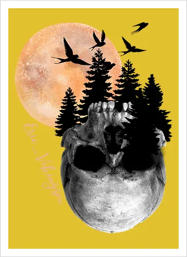 Skull - Artprint