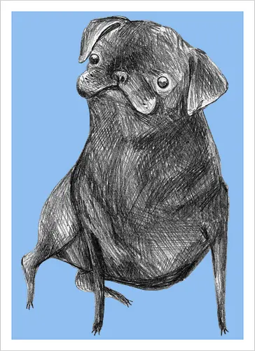 Der Kleine Gentleman Mit Dem Neugierigen Blick - Mops, süßer Hund, schwarzer Hund, süßes Tier, Tierkunst, Bleistiftzeichnung, Illustration, Hundeliebhaber, Haustier, Tierportrait, minimalistische Kunst, kleiner Hund, Schwarzweißkunst, neugieriger Hund, Hundekunst - Artprint