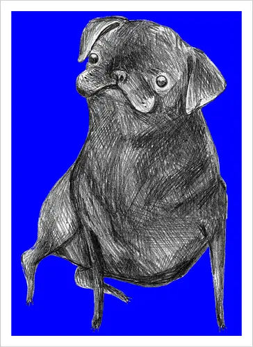 Der Kleine Gentleman Mit Dem Neugierigen Blick - Mops, süßer Hund, schwarzer Hund, süßes Tier, Tierkunst, Bleistiftzeichnung, Illustration, Hundeliebhaber, Haustier, Tierportrait, minimalistische Kunst, kleiner Hund, Schwarzweißkunst, neugieriger Hund, Hundekunst - Artprint
