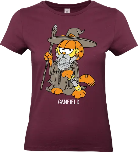 Ganfield - Orange Cat, Wizard, LOTR, Tolkien - Standard T-Shirt (Women)