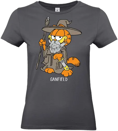 Ganfield - Orange Cat, Wizard, LOTR, Tolkien - Standard T-Shirt (Women)