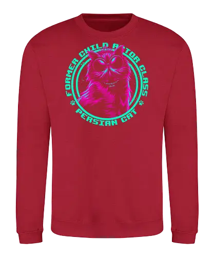 Former Child Actor  - Princess Donut, Dungeon Crawler Carl - Sweatshirt