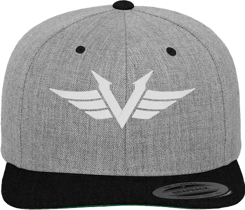 Vektik - Logo Cap - youtube, youtuber, merchandise, twitch, cod, call of duty, strmer - Snapback