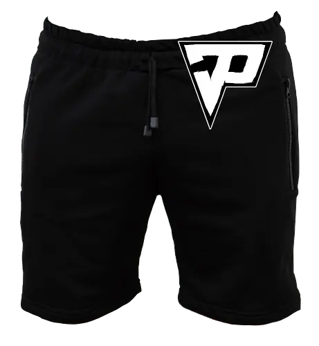 Pain - Destroyed Logo