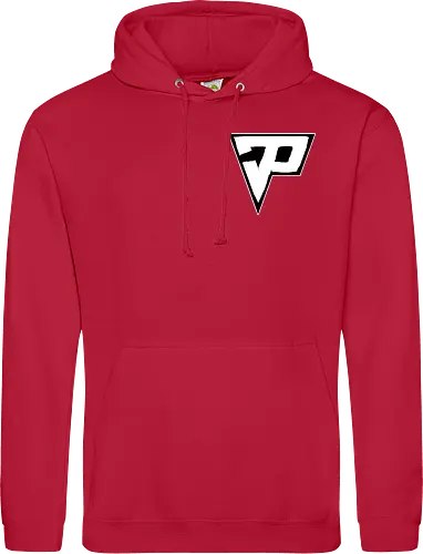 Pain - Destroyed Logo