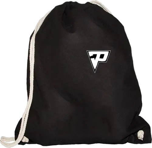 Pain - Destroyed Logo