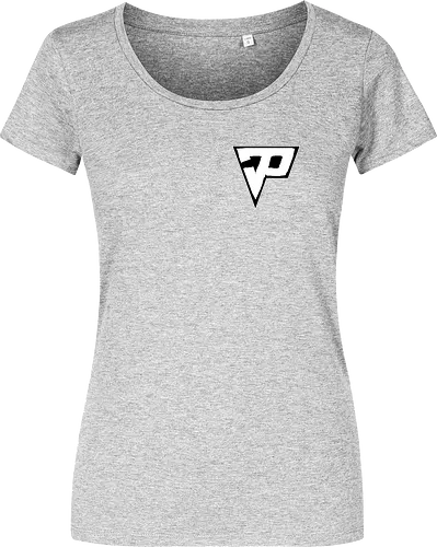 Pain - Destroyed Logo