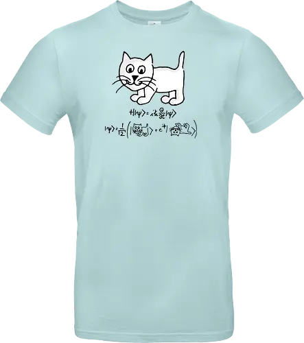Schrödingers Katze - Quantum Tomato, Florian Aigner, katze, schrödingers katze, mathe, physik, science - Standard T-Shirt