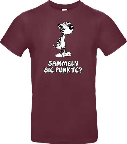 Ruthe - Punkte