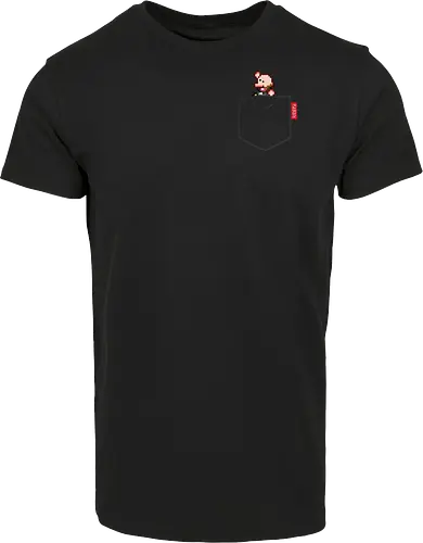Plebsen (pocket)