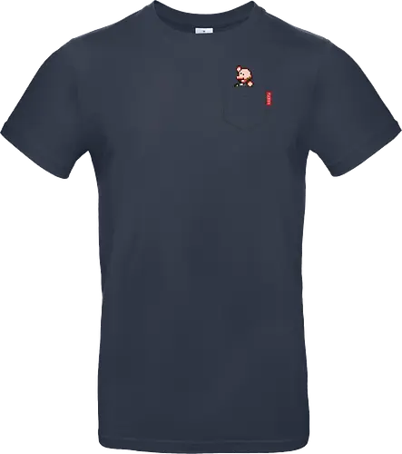 Plebsen (pocket)